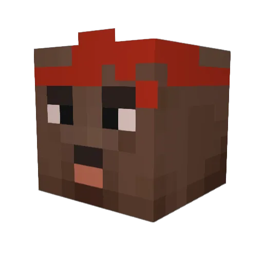 FaneOCB Minecraft avatar head, 3D render