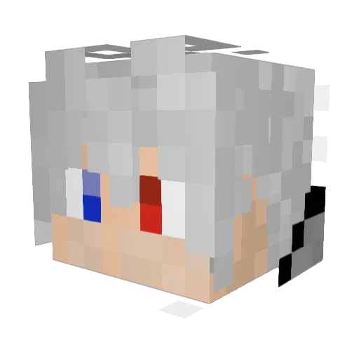 Fanek_ Minecraft avatar head, 3D render