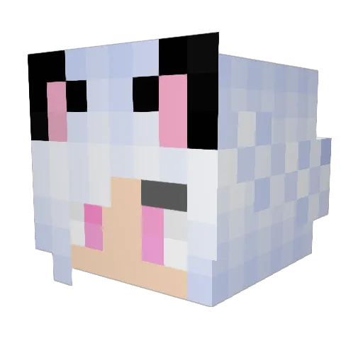 Fanficologist Minecraft avatar head, 3D render