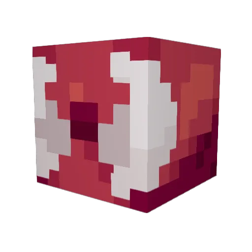 Fanfo89 Minecraft avatar head, 3D render