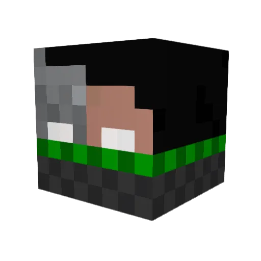 Fangelang Minecraft avatar head, 3D render