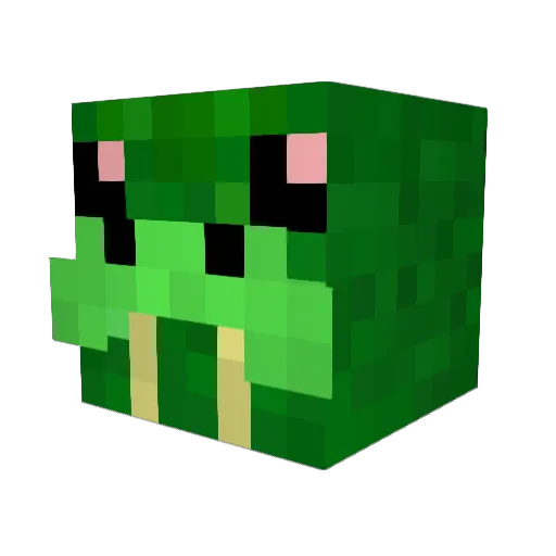 Fangie123 Minecraft avatar head, 3D render