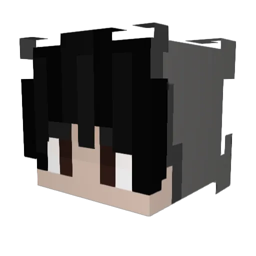 Fangxz_ Minecraft avatar head, 3D render