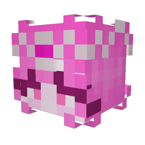 Fangzy_ Minecraft avatar head, 3D render