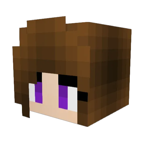 Fanijo Minecraft avatar head, 3D render