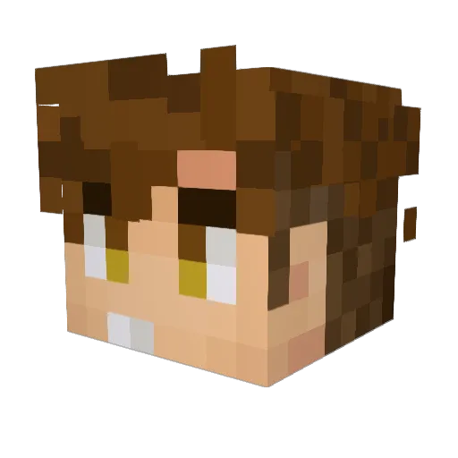 Fanikir Minecraft avatar head, 3D render