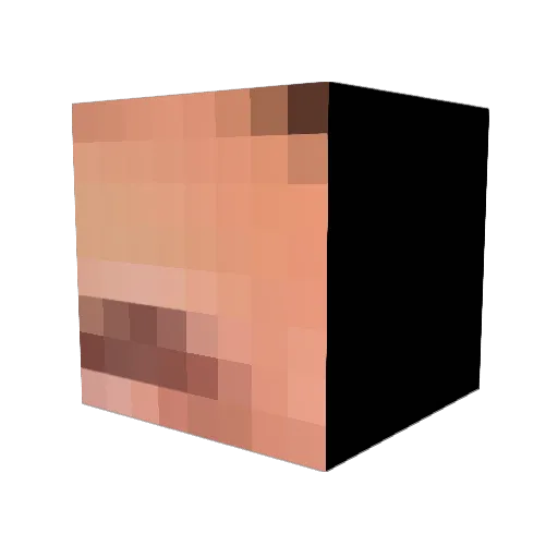 Fanimel Minecraft avatar head, 3D render