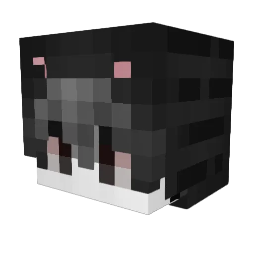 Fanjaa Minecraft avatar head, 3D render