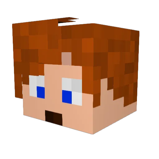 FankPlay Minecraft avatar head, 3D render