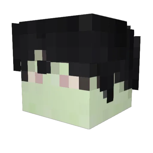 FankiZombi Minecraft avatar head, 3D render