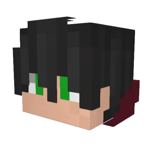 Fanky_YT Minecraft avatar head, 3D render