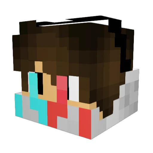 Fann9 Minecraft avatar head, 3D render