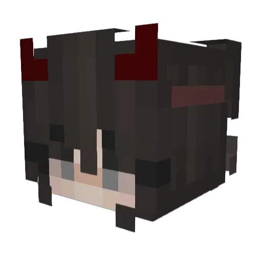 Fannie10 Minecraft avatar head, 3D render
