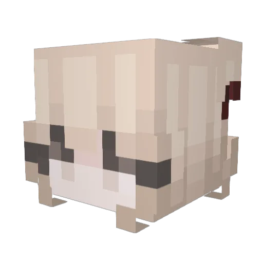 Fannoxx Minecraft avatar head, 3D render