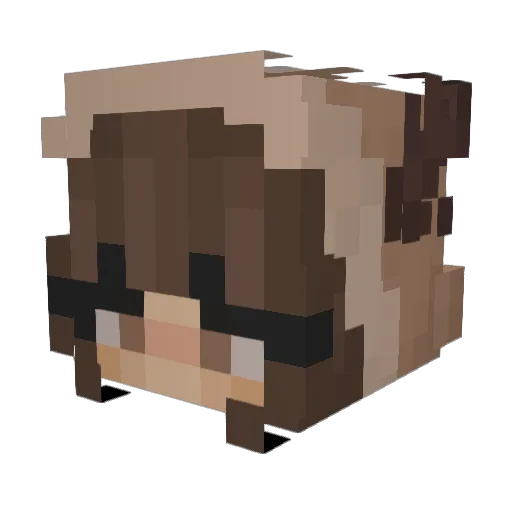 Fannyberta12 Minecraft avatar head, 3D render