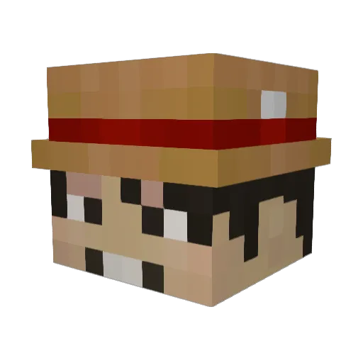 FanofTNT12 Minecraft avatar head, 3D render