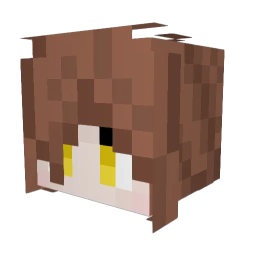 Fanoreye Minecraft avatar head, 3D render