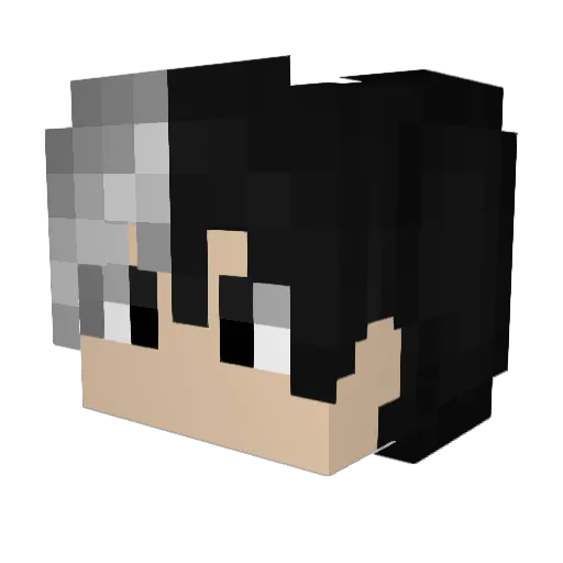 Fanozer_ Minecraft avatar head, 3D render