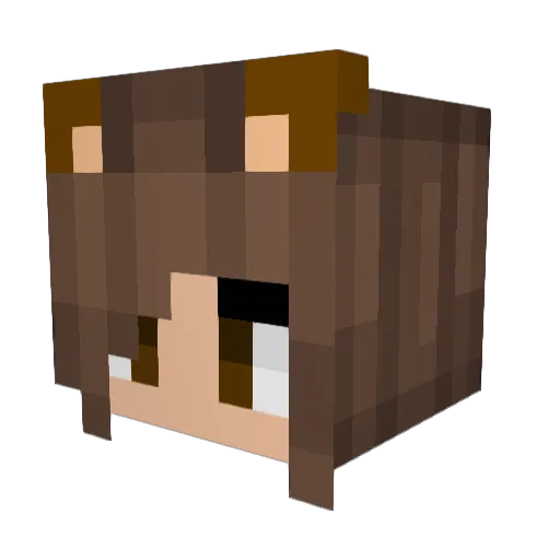 Fanstasticweeb Minecraft avatar head, 3D render
