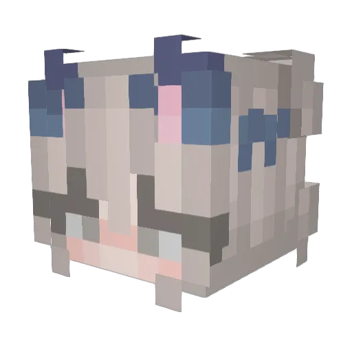 Fant555 Minecraft avatar head, 3D render