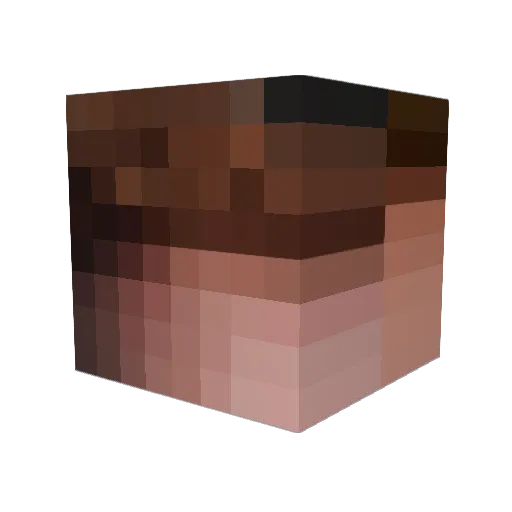 FantaLemon Minecraft avatar head, 3D render