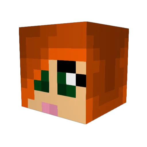 FantaPants42 Minecraft avatar head, 3D render