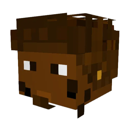 FantaSluker Minecraft avatar head, 3D render