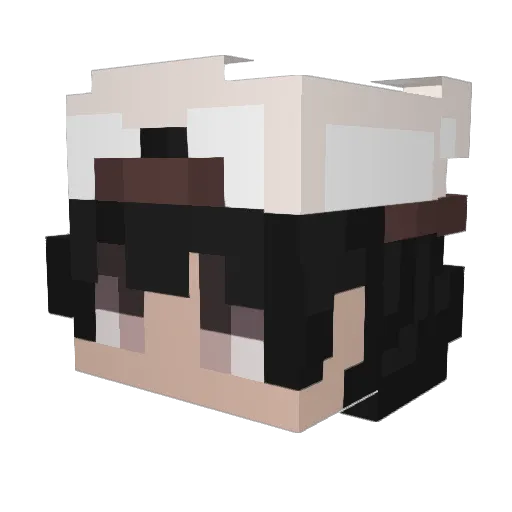 Fantash Minecraft avatar head, 3D render