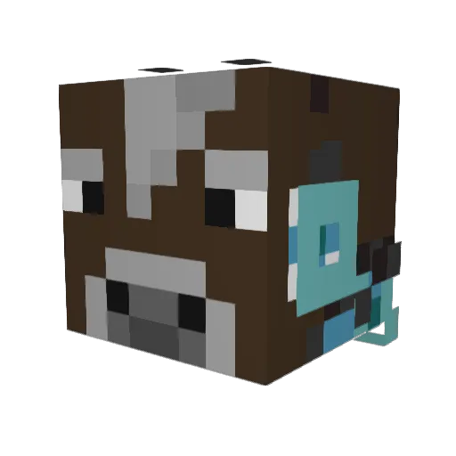 FantasticBlueJay Minecraft avatar head, 3D render