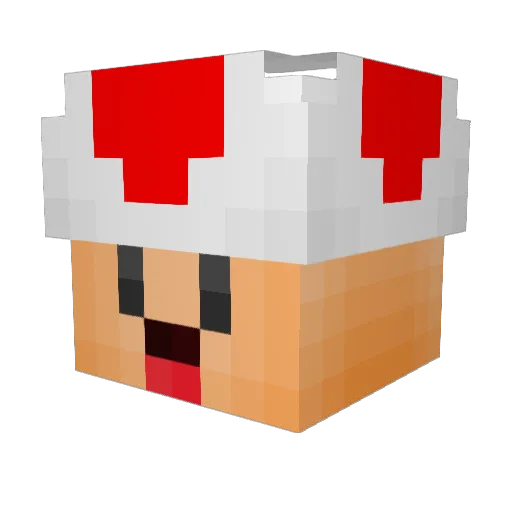 FantasticMsFox4 Minecraft avatar head, 3D render
