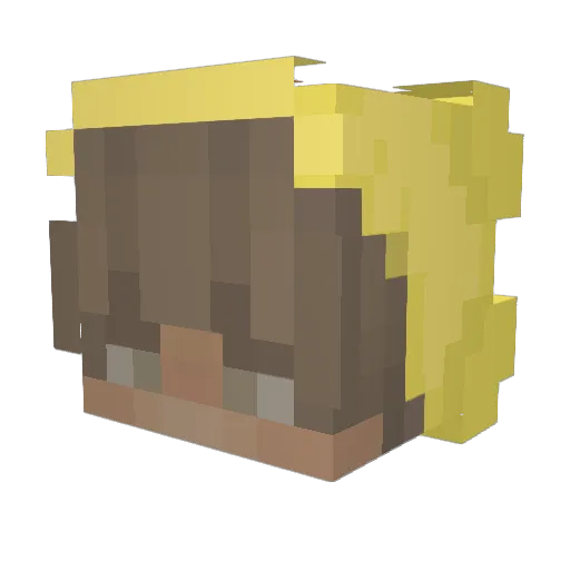 FantastickDuck Minecraft avatar head, 3D render