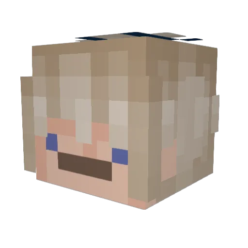 Fantastics Minecraft avatar head, 3D render