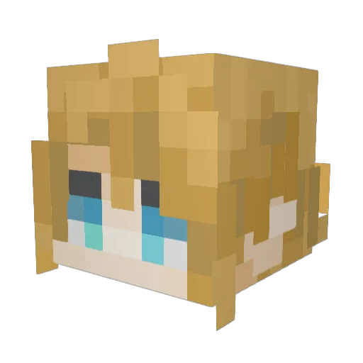 FantasySupreme Minecraft avatar head, 3D render
