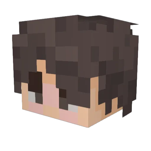 Fanticity Minecraft avatar head, 3D render