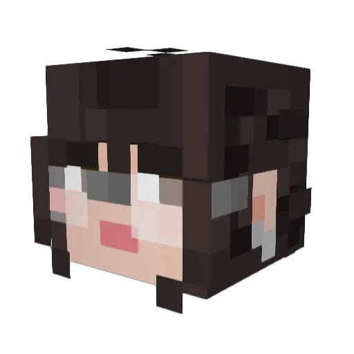 Fantochee Minecraft avatar head, 3D render