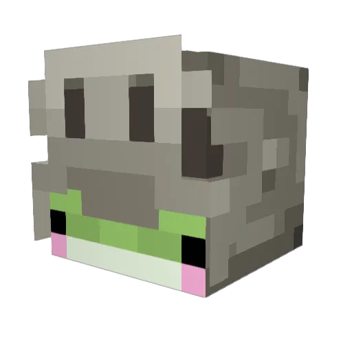Fantom_Frog367 Minecraft avatar head, 3D render
