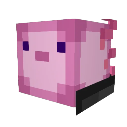 FantomeN1738 Minecraft avatar head, 3D render