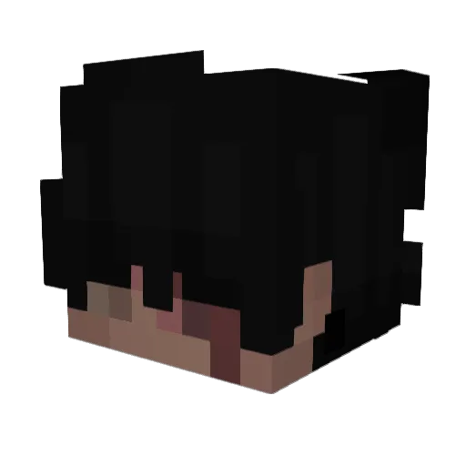 Fanyok Minecraft avatar head, 3D render