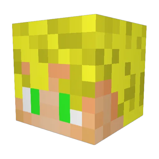Faolin123 Minecraft avatar head, 3D render