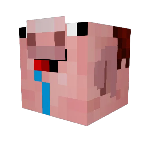 Fapfab3516 Minecraft avatar head, 3D render