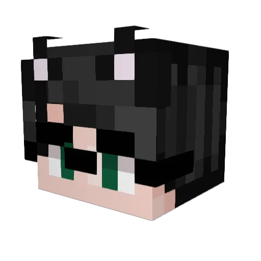 Fapper_Fox Minecraft avatar head, 3D render