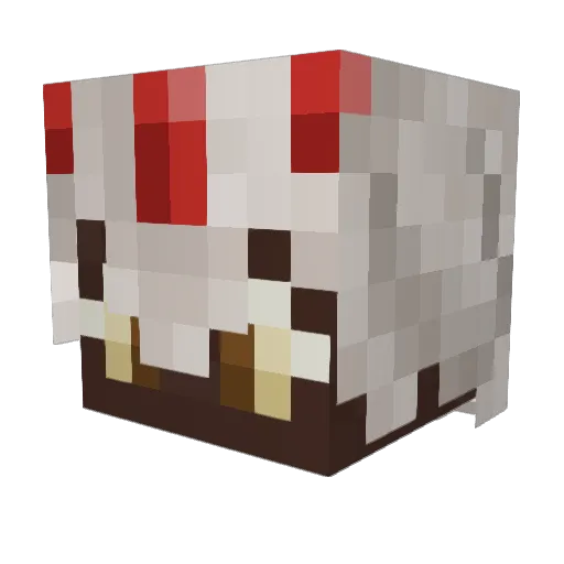 Fapta_ Minecraft avatar head, 3D render