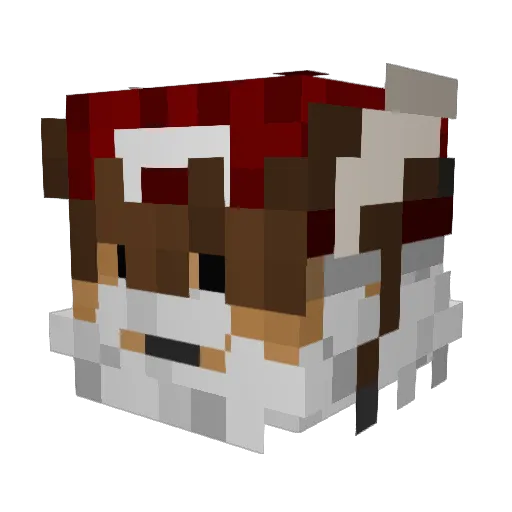 Fapy Minecraft avatar head, 3D render