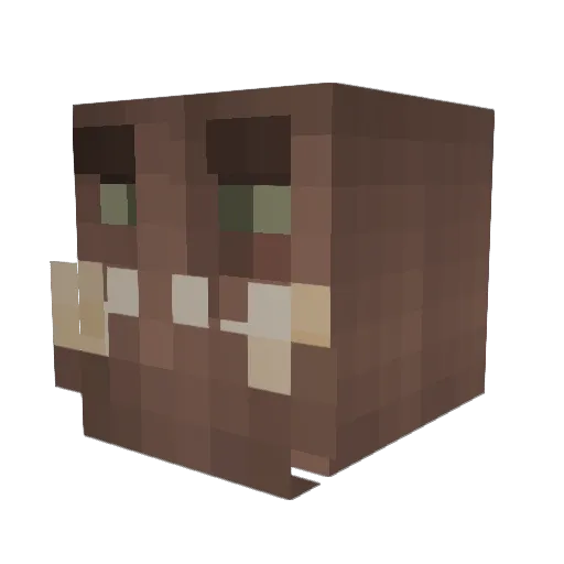 FarGlade Minecraft avatar head, 3D render