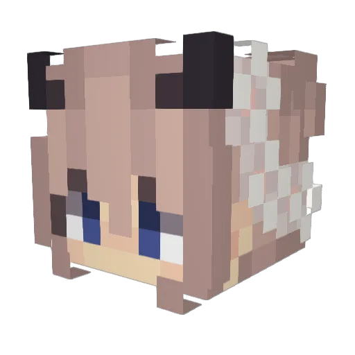 FarHit Minecraft avatar head, 3D render
