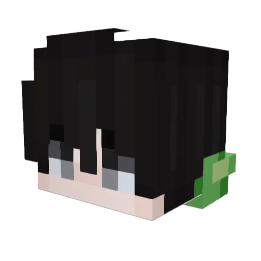 FarLand_ Minecraft avatar head, 3D render