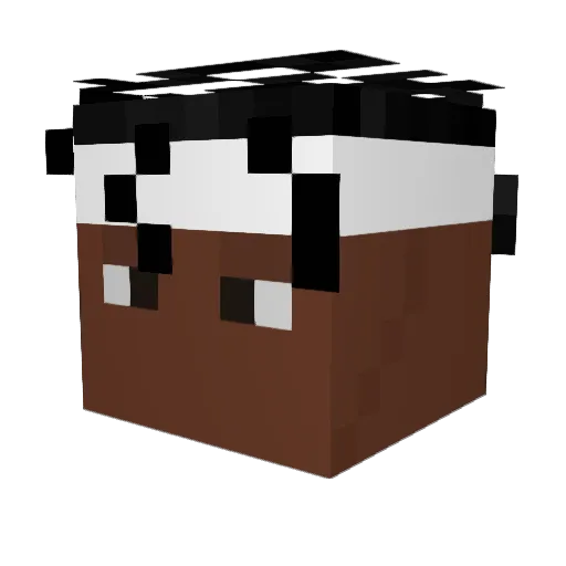 FarTooShifty4U Minecraft avatar head, 3D render