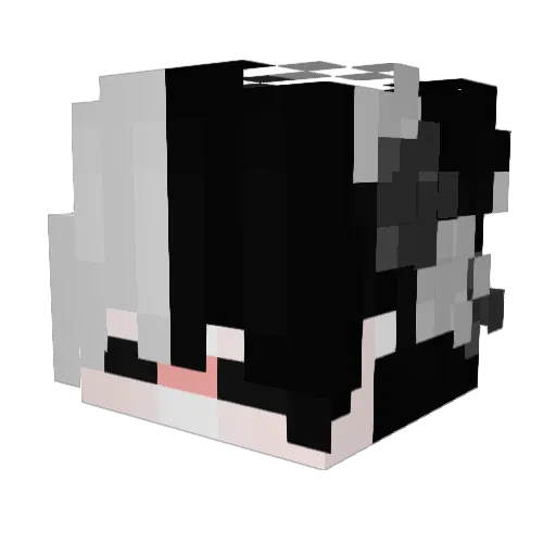 FaradayMC Minecraft avatar head, 3D render