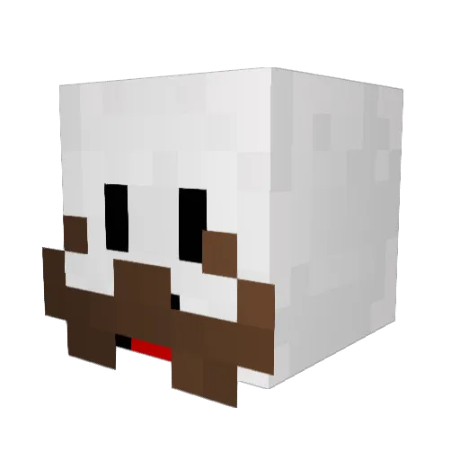 Faraell Minecraft avatar head, 3D render