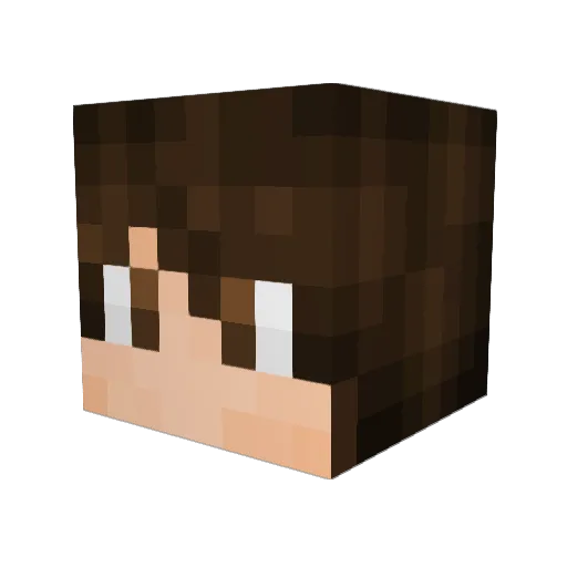 FarawayLands Minecraft avatar head, 3D render